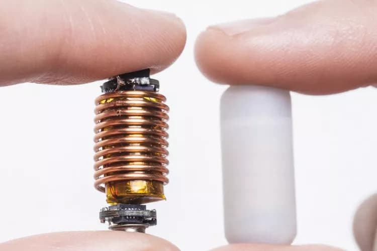 Gut Reaction: Smart Pill Smells Out The Body's Fiber Factor