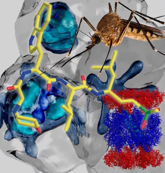 University of Melbourne