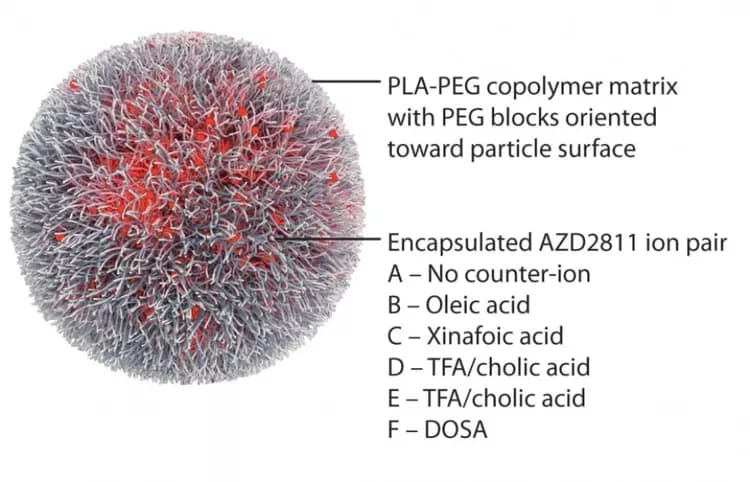 Ashton et al., Science Translational Medicine