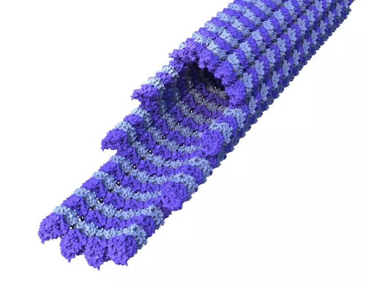 University of Warwick