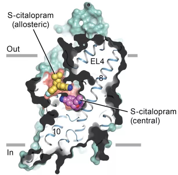 Oregon Health & Science University