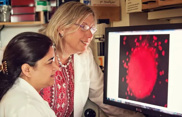 University of Michigan Comprehensive Cancer Center