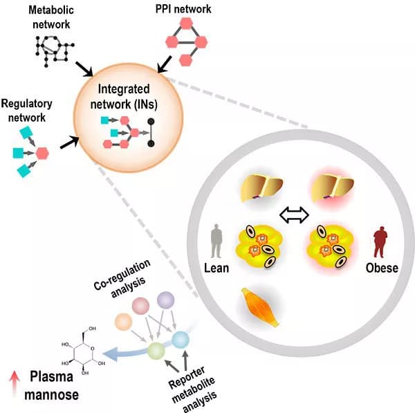 KTH The Royal Institute of Technology