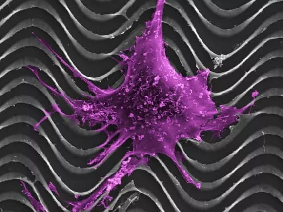 UW–Madison/ Paul Campagnola