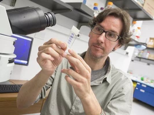 Stony Brook University