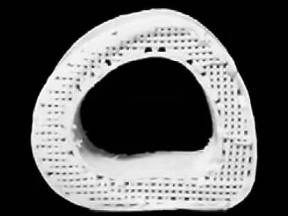 Adam E. Jakus, Northwestern University