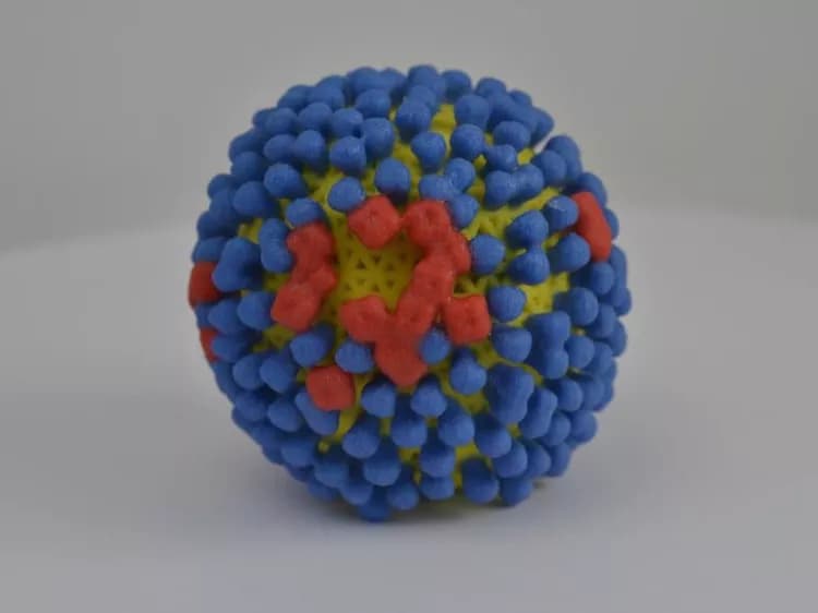 National Institutes of Health