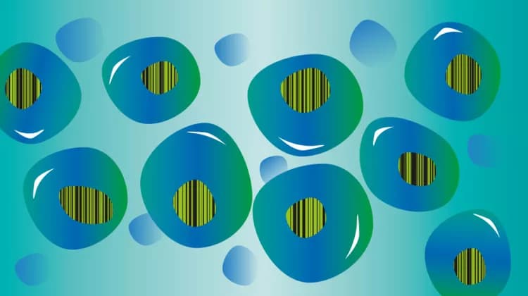 Nicole Schuster/DKFZ