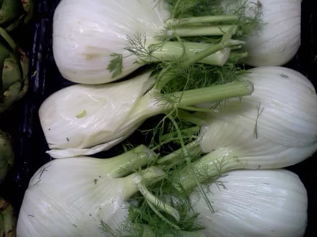 7 Health Benefits Of Fennel