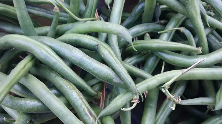 7 Health Benefits Of Green Beans