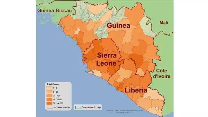 Centers for Disease Control and Prevention (CDC)