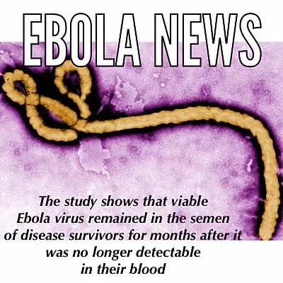 Sexual Transmission Of Ebola Likely To Impact Course Of Outbreaks