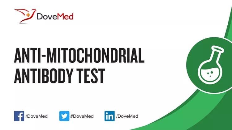 Anti-Mitochondrial Antibody (AMA) Test