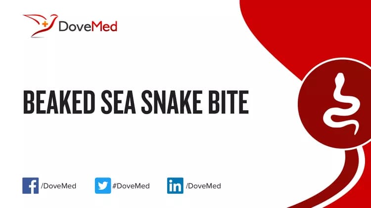Where are you most likely to encounter Beaked Sea Snake Bite?