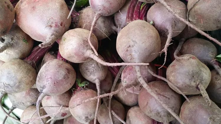 What does beetroot contain?