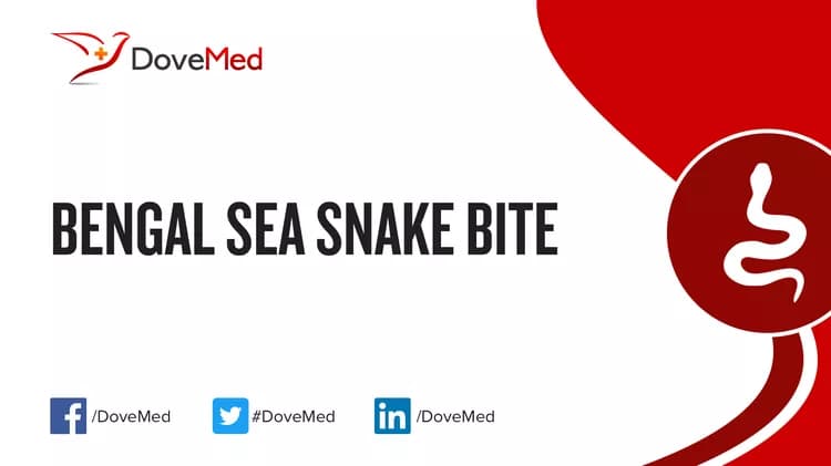Where are you most likely to encounter Bengal Sea Snake Bite?