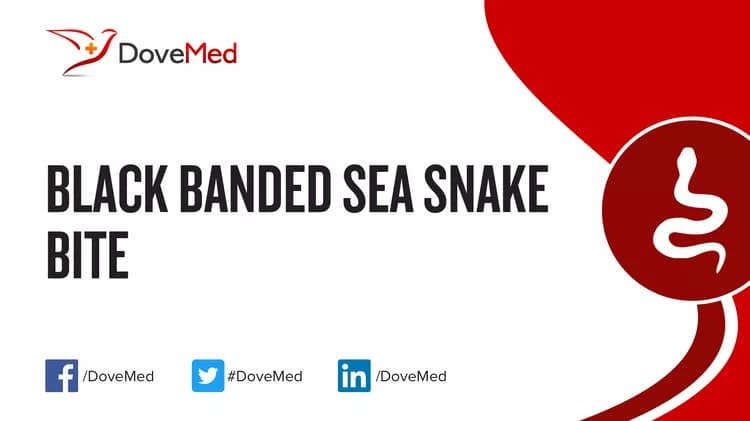 Where are you most likely to encounter Black Banded Sea Snake Bite?