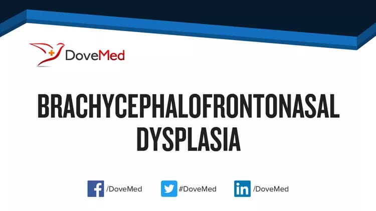 Can you access healthcare professionals in your community to manage Brachycephalofrontonasal Dysplasia?