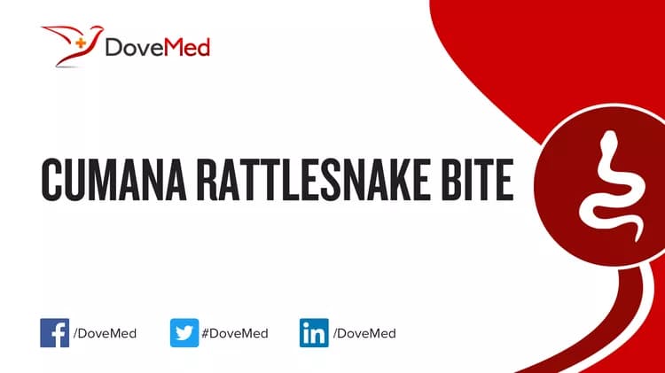 Where are you most likely to encounter Cumana Rattlesnake Bite?
