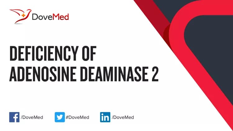 Deficiency of Adenosine Deaminase 2 (DADA2) is a rare genetic disorder with distinct features. What is the primary role of Adenosine Deaminase 2 (ADA2) in the body?