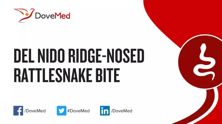 Where are you most likely to encounter Del Nido Ridge-Nosed Rattlesnake Bite?