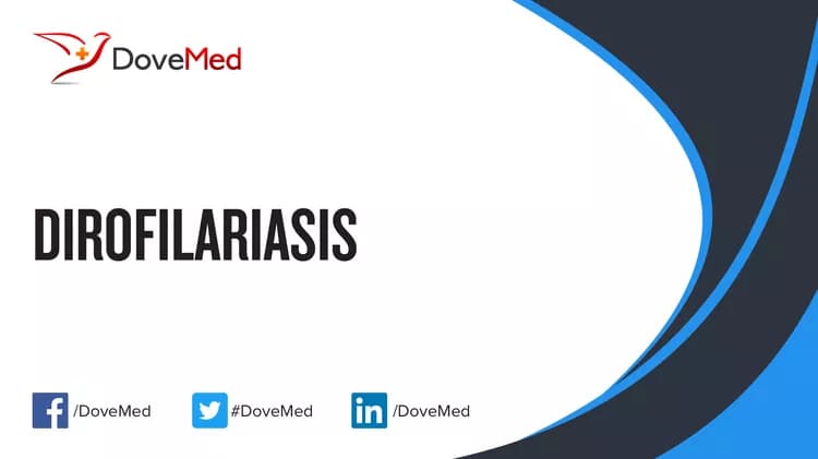 Can you access healthcare professionals in your community to manage Dirofilariasis?