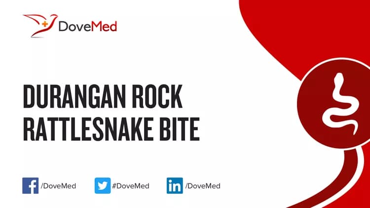 Where are you most likely to encounter Durangan Rock Rattlesnake Bite?