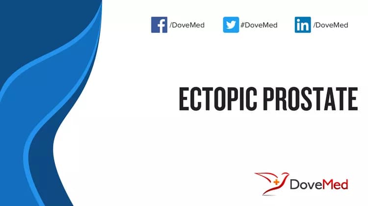Ectopic Prostate