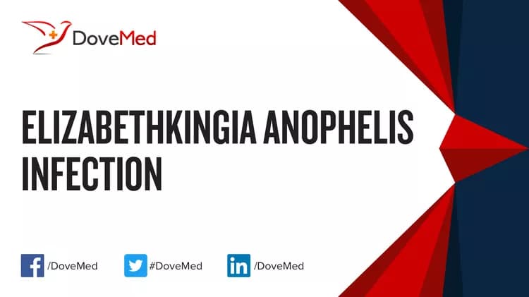 Can you access healthcare professionals in your community to manage Elizabethkingia Anophelis Infection?
