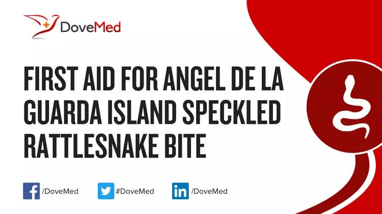 First Aid for Angel de la Guarda Island Speckled Rattlesnake Bite