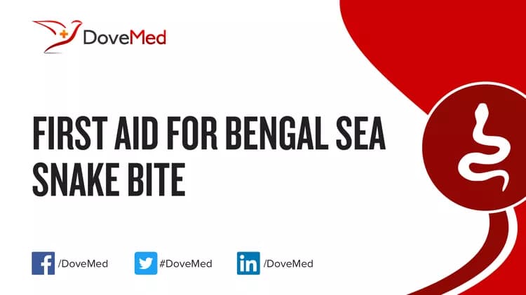 First Aid for Bengal Sea Snake Bite