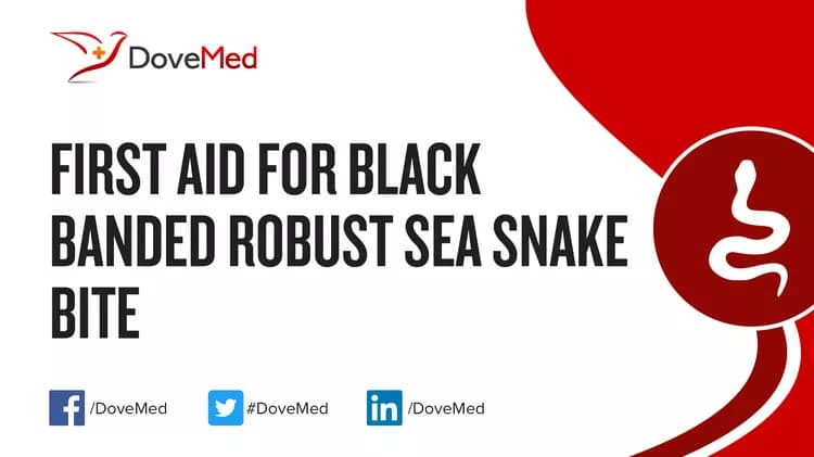 First Aid for Black Banded Robust Sea Snake Bite