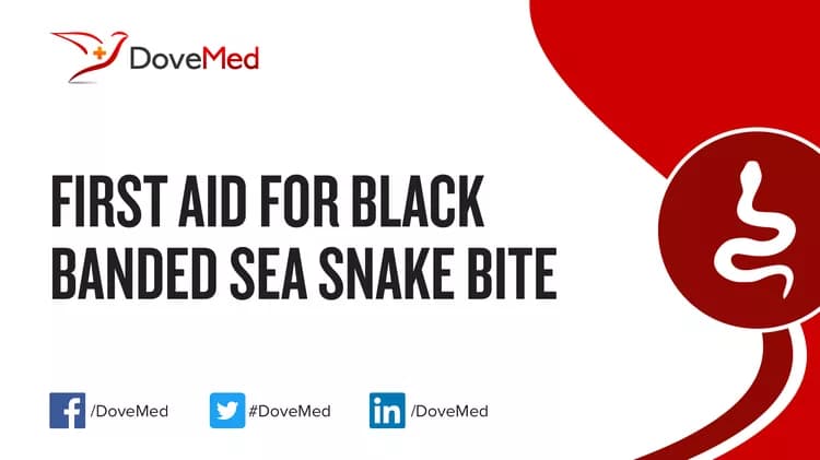 First Aid for Black Banded Sea Snake Bite