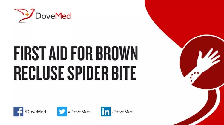 First Aid for Brown Recluse Spider Bite