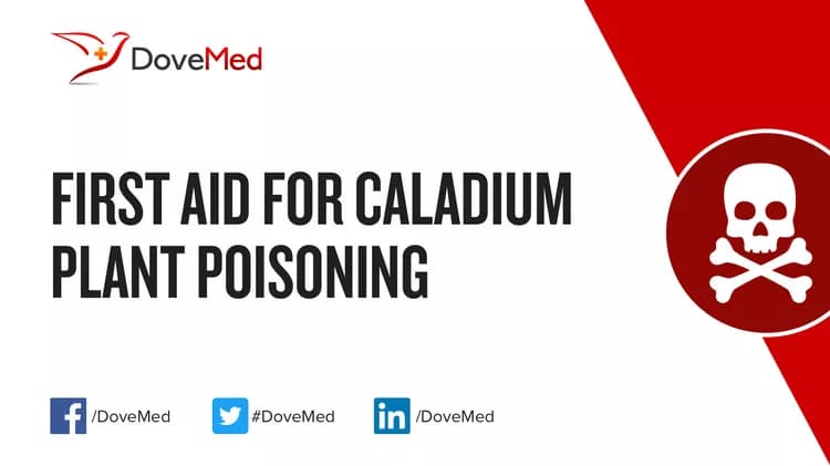 First Aid for Caladium Plant Poisoning
