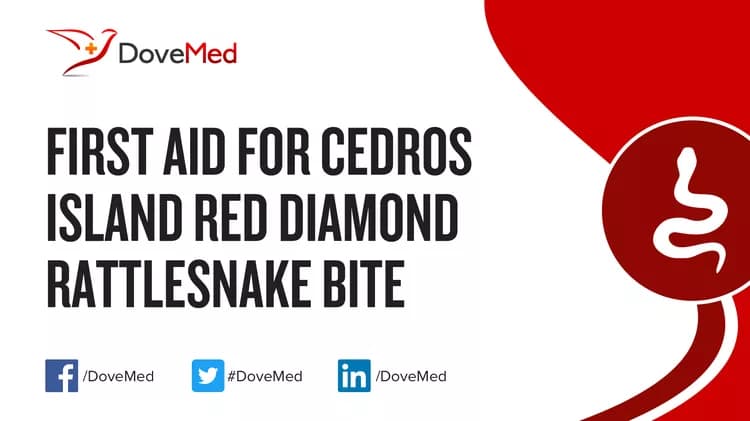 First Aid for Cedros Island Red Diamond Rattlesnake Bite