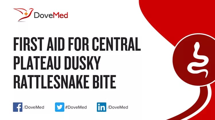 First Aid for Central Plateau Dusky Rattlesnake Bite