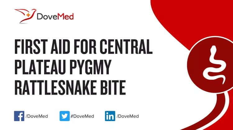 First Aid for Central Plateau Pygmy Rattlesnake Bite