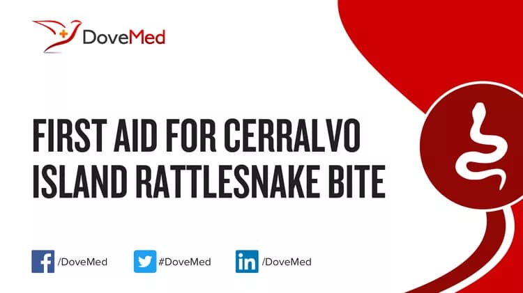 First Aid for Cerralvo Island Rattlesnake Bite