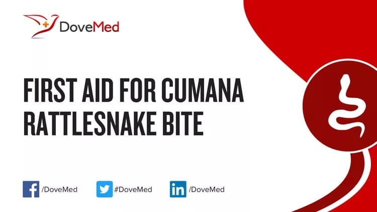 First Aid for Cumana Rattlesnake Bite