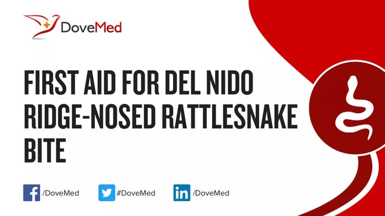 First Aid for Del Nido Ridge-Nosed Rattlesnake Bite