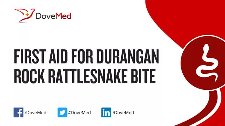 First Aid for Durangan Rock Rattlesnake Bite