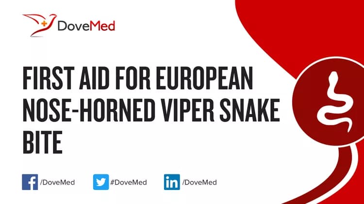 First Aid for European Nose-Horned Viper Snake Bite