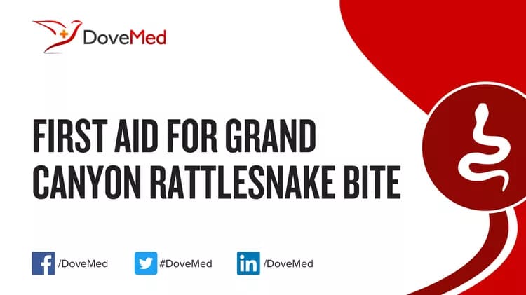 First Aid for Grand Canyon Rattlesnake Bite