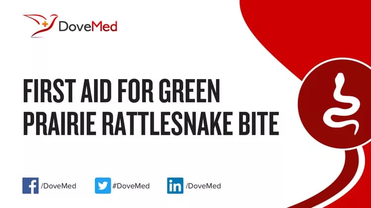 First Aid for Green Prairie Rattlesnake Bite