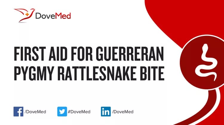 First Aid for Guerreran Pygmy Rattlesnake Bite