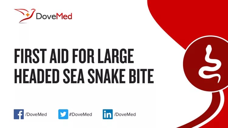 First Aid for Large Headed Sea Snake Bite
