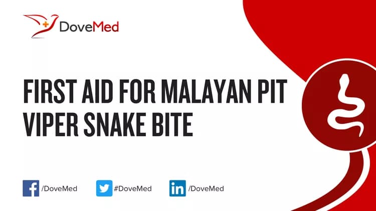 First Aid for Malayan Pit Viper Snake Bite