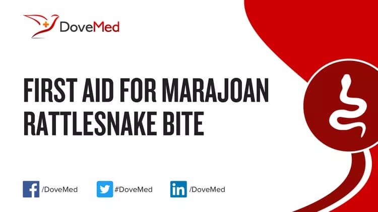 First Aid for Marajoan Rattlesnake Bite