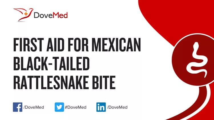 First Aid for Mexican Black-Tailed Rattlesnake Bite
